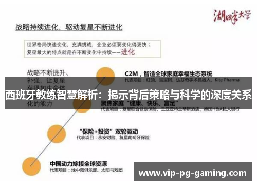 西班牙教练智慧解析：揭示背后策略与科学的深度关系