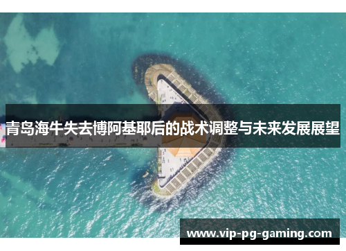 青岛海牛失去博阿基耶后的战术调整与未来发展展望